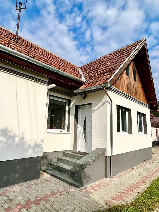 Silver House Rasnov Exteriér fotografie