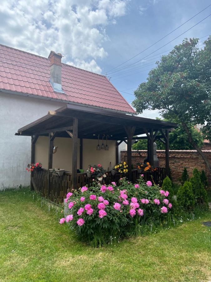 Silver House Rasnov Exteriér fotografie